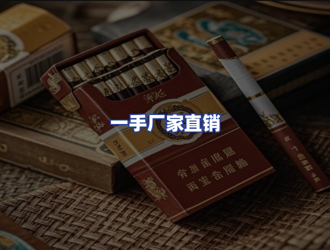 专业团队